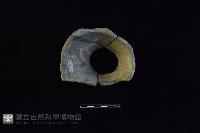 陶片藏品圖，第2張