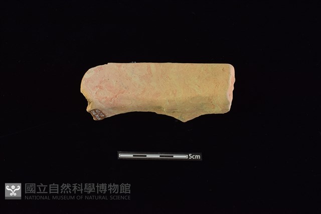陶罐藏品圖，第2張