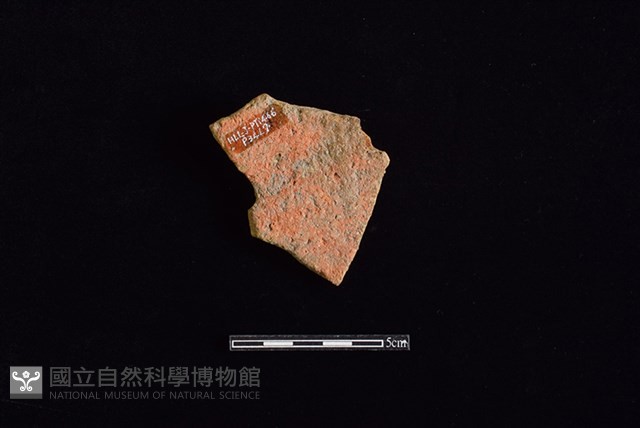 陶片藏品圖，第2張