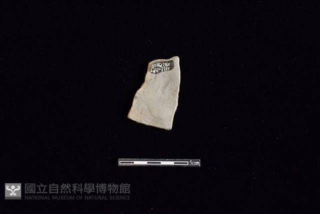 陶片藏品圖，第2張