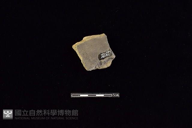 陶片藏品圖，第2張