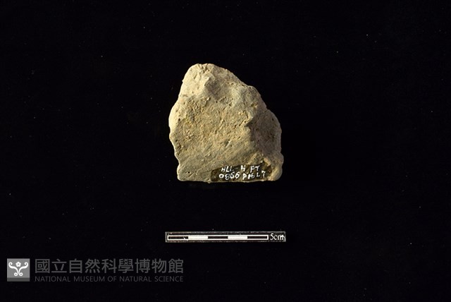 陶片藏品圖，第2張