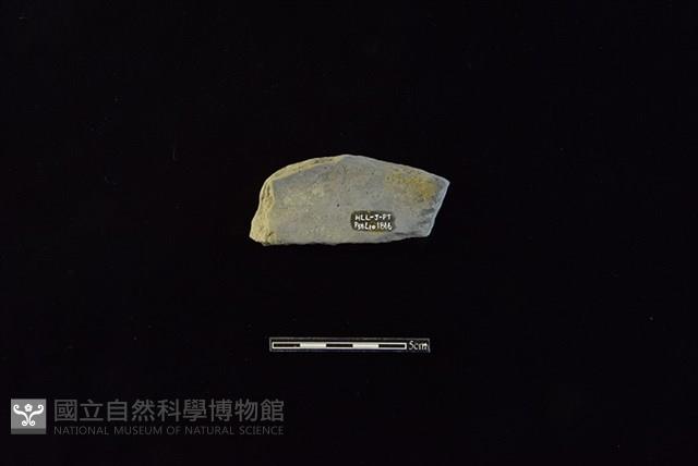 陶片藏品圖，第2張