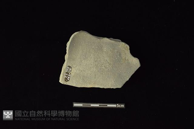 Accession Number:HLL-I PT2366 Collection Image, Figure 2, Total 2 Figures