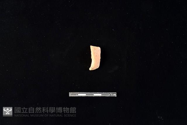 陶片藏品圖，第2張