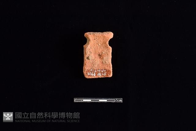 陶片藏品圖，第2張