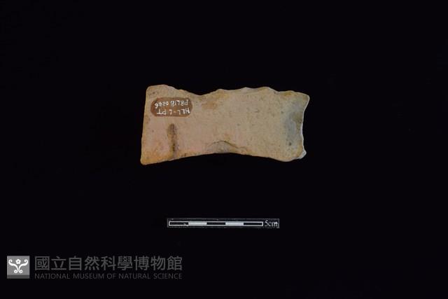 連杯形器藏品圖，第2張