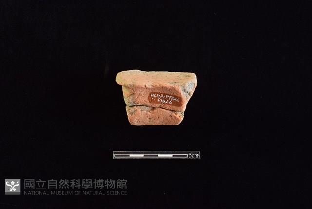 陶片藏品圖，第2張