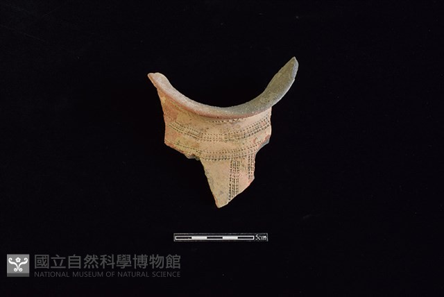 陶罐藏品圖，第2張
