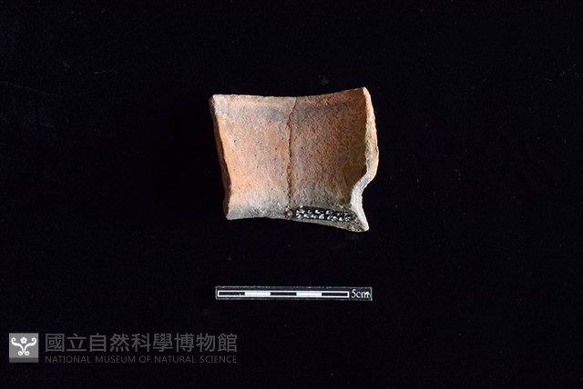 陶罐藏品圖，第2張