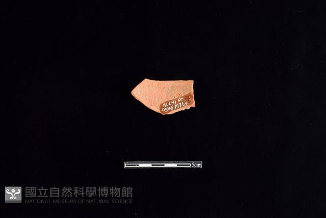 陶片藏品圖，第2張