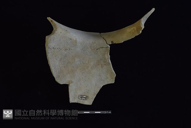 陶罐藏品圖，第2張