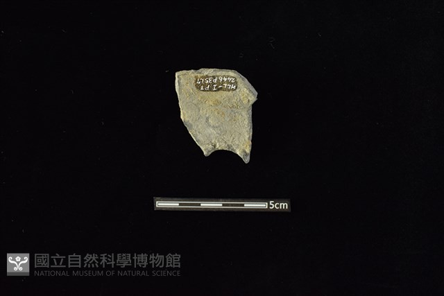 陶甑藏品圖，第2張