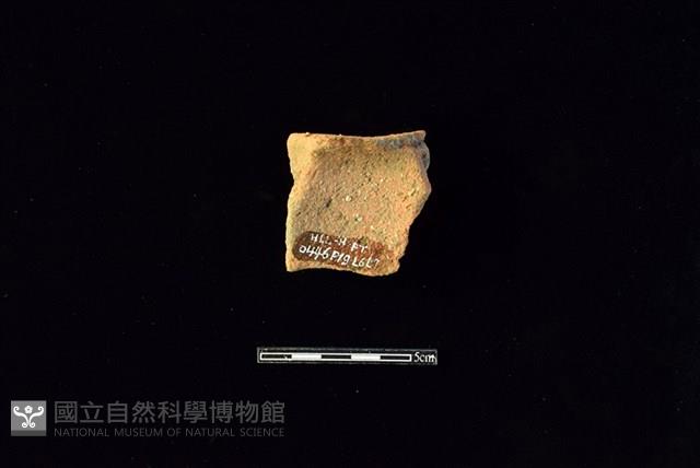 陶片藏品圖，第2張