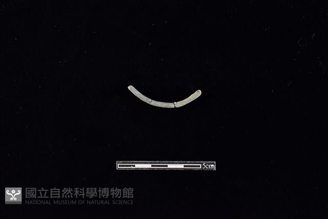 陶環藏品圖，第2張