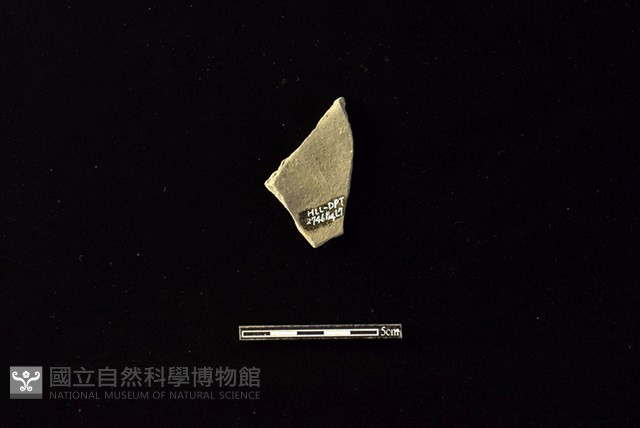 陶片藏品圖，第2張