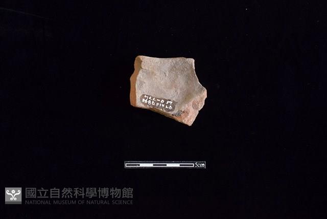 陶缽藏品圖，第2張