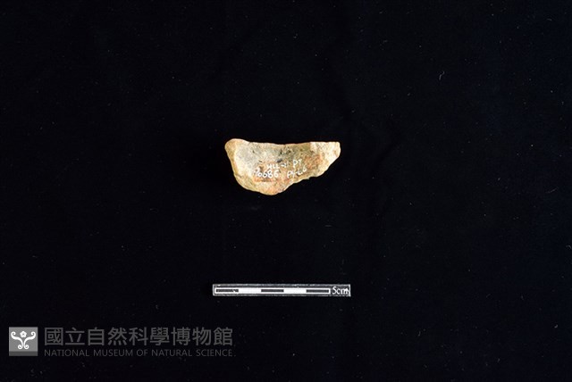 陶片藏品圖，第2張