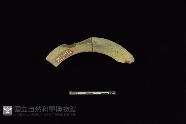 陶罐藏品圖，第2張