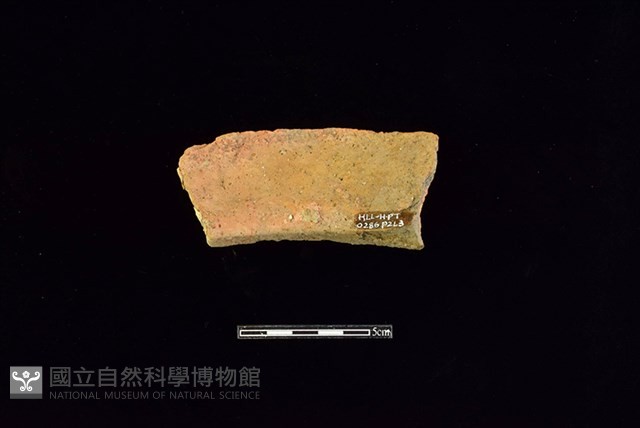 陶罐藏品圖，第2張