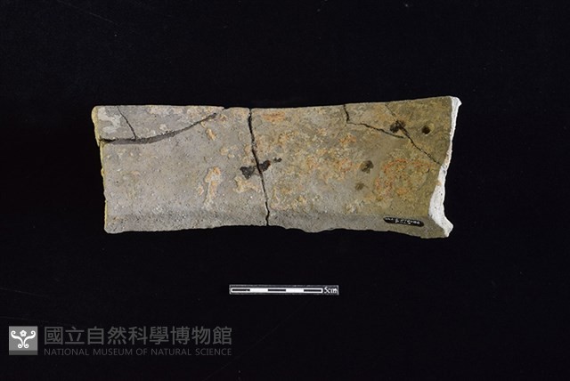 陶罐藏品圖，第2張