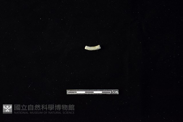 陶環藏品圖，第2張