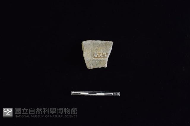 陶罐藏品圖，第2張