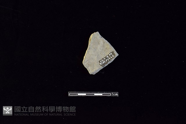 陶片藏品圖，第2張