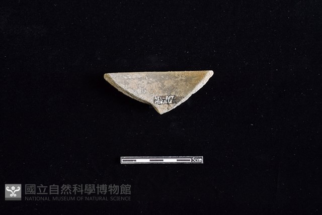 陶罐藏品圖，第2張