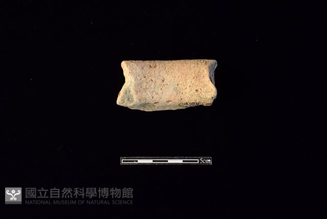 陶罐藏品圖，第2張
