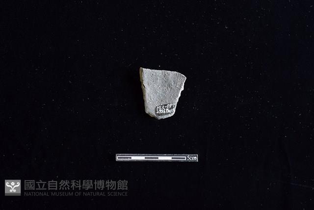 陶罐藏品圖，第2張