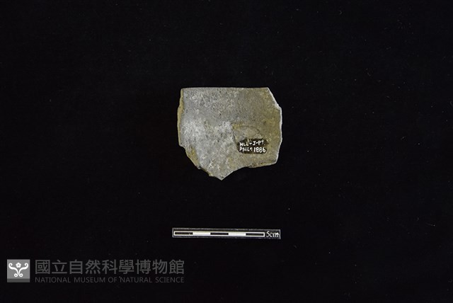 陶缽藏品圖，第2張