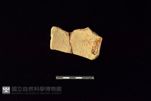 陶罐藏品圖，第2張