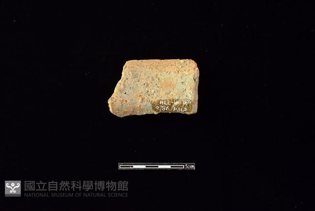 陶罐藏品圖，第2張