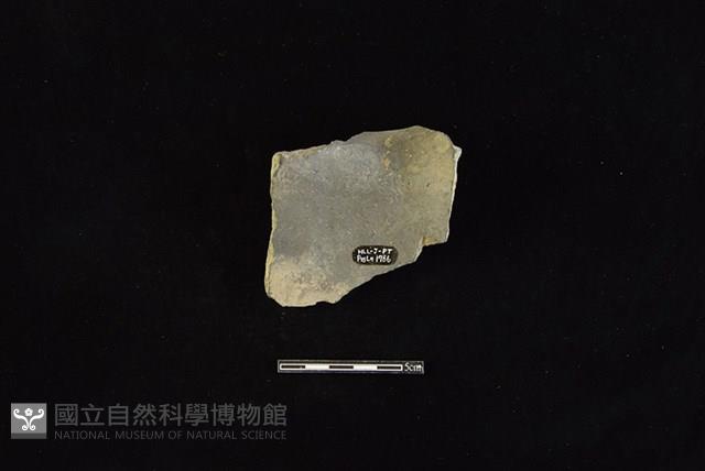 陶罐藏品圖，第2張