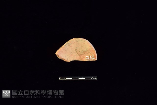 陶片藏品圖，第2張