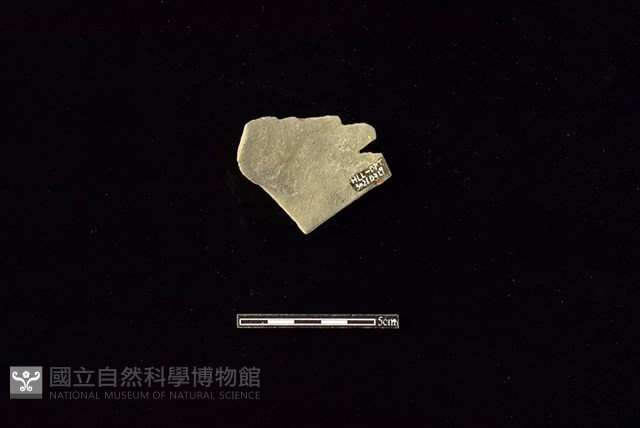 陶片藏品圖，第2張