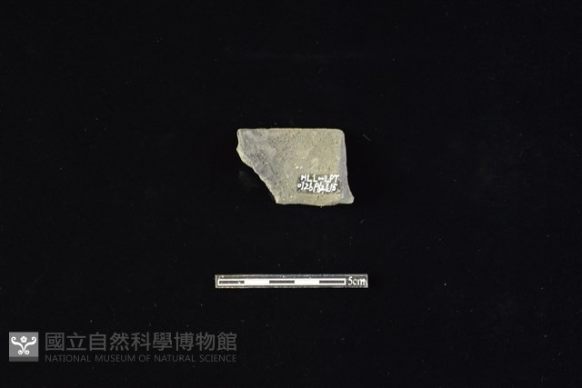 陶罐藏品圖，第2張