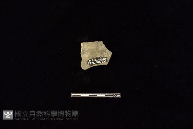 陶片藏品圖，第2張