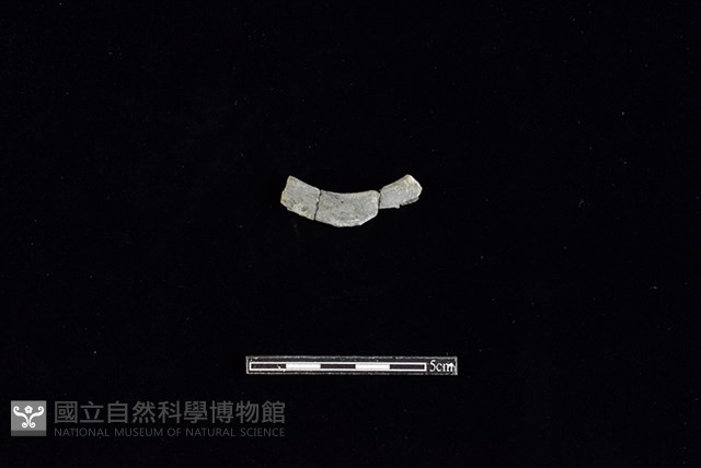 陶環藏品圖，第2張