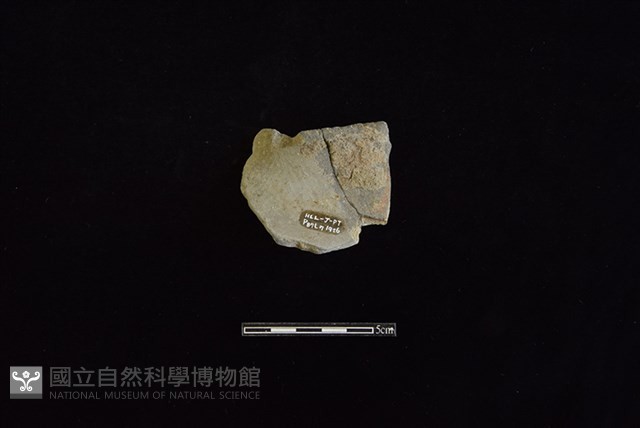 陶瓢藏品圖，第2張