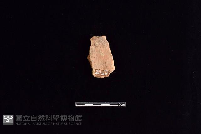 陶片藏品圖，第2張