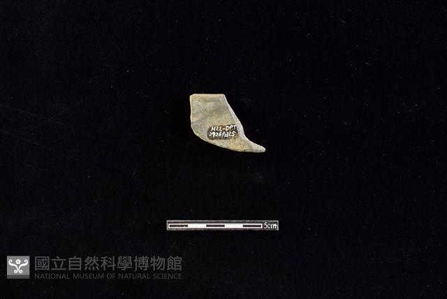 陶片藏品圖，第2張