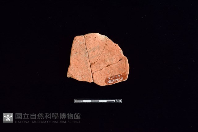 陶片藏品圖，第2張