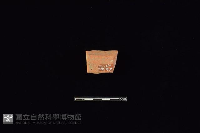 連杯形器藏品圖，第2張
