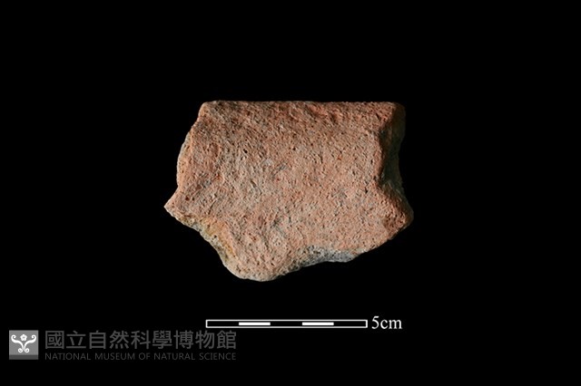 陶缽藏品圖，第2張
