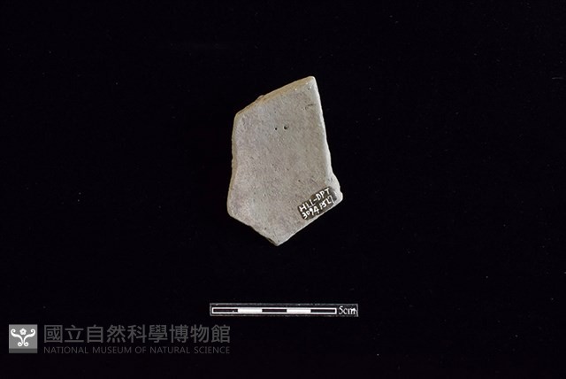 陶片藏品圖，第2張