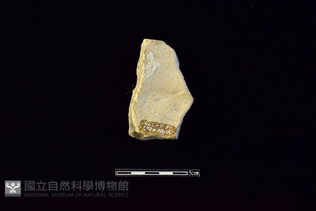 陶片藏品圖，第2張