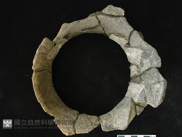 陶片藏品圖，第2張