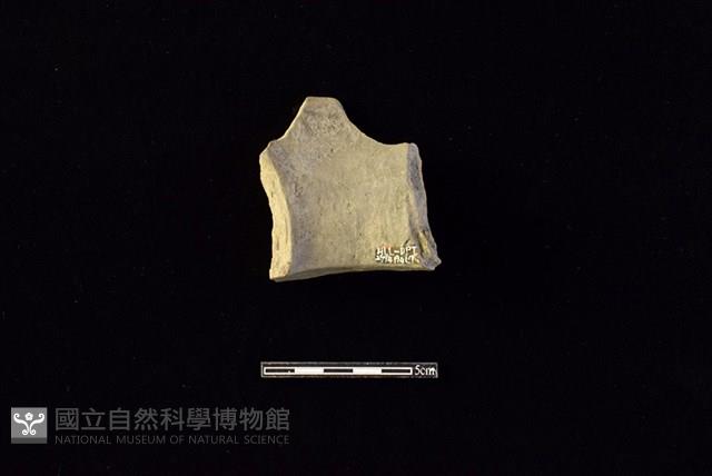 陶罐藏品圖，第2張